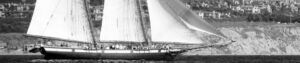 Cropped IMG 03141