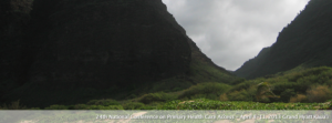Facebook kauaii cover.fw